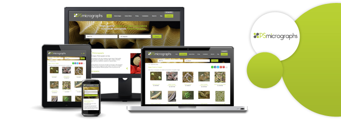 Psmicrographs responsive website