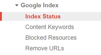 Index Status