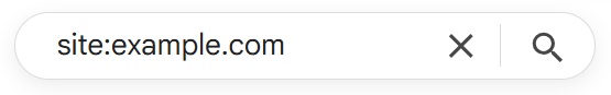 Google site search example