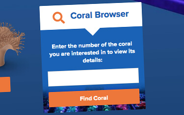 Coral Finder