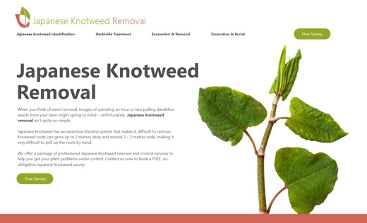 Japanese Knotweed Removal