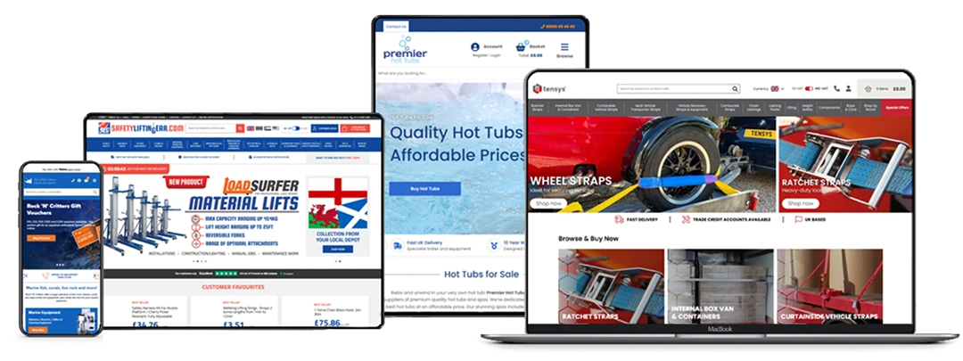 Ecommerce Website Design